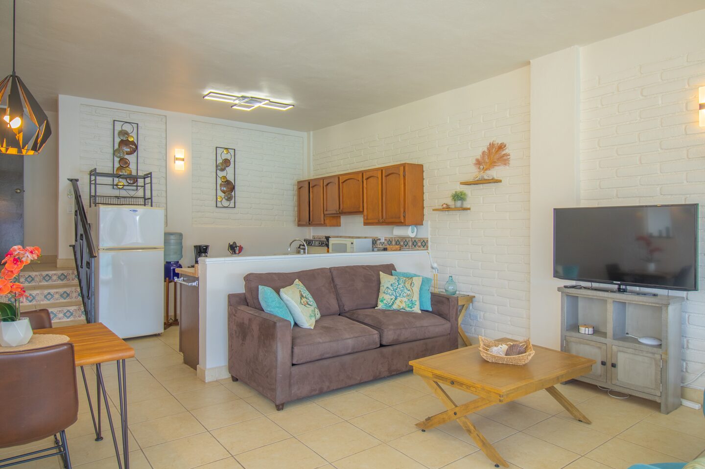 564-1 Hipocampo (1)